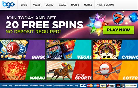 bgo Casino Free Spins .